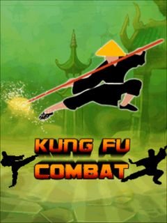 game pic for Kung fu combat